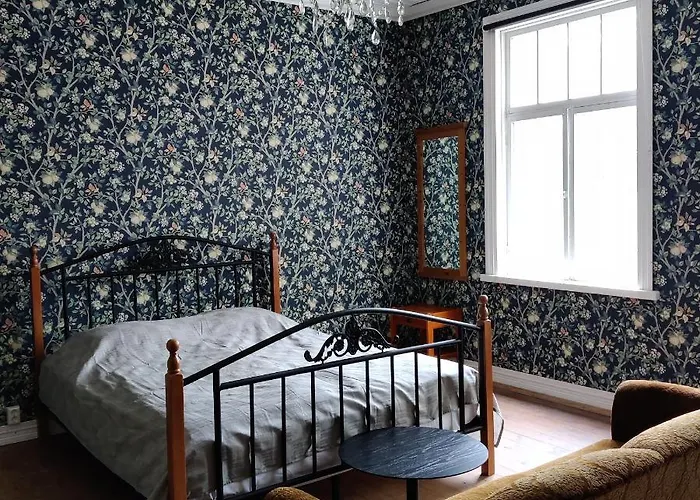 Viktor בית הארחה *