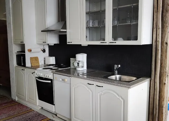 Viktor בית הארחה *