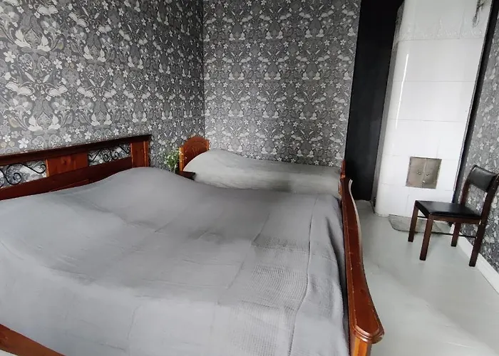 בית הארחה Viktor *